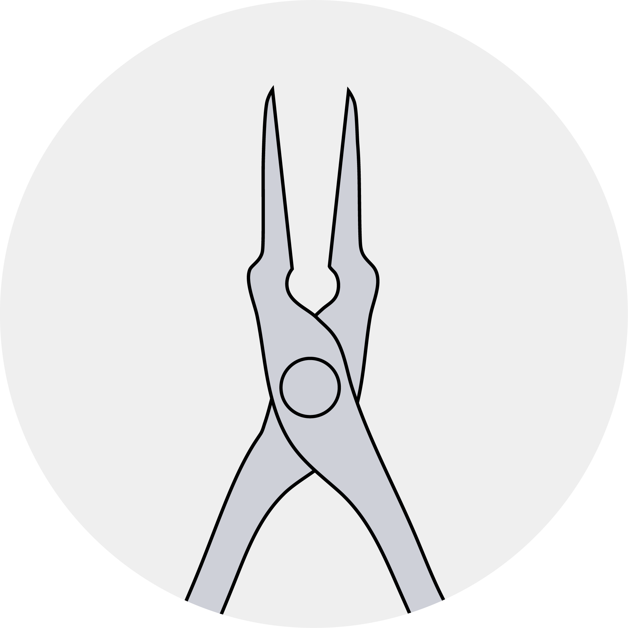 Ingrown Nail Nippers